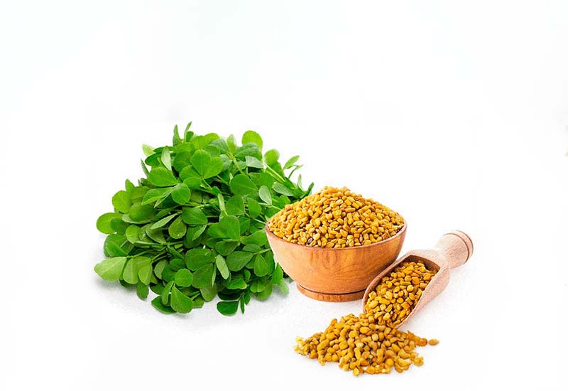 Fenugreek Extract Alpha Xtra Boost