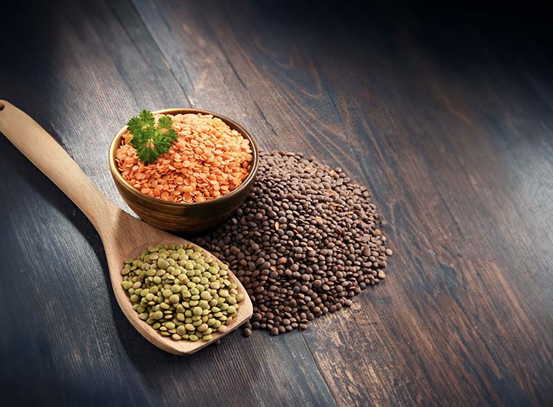 Are Lentils Good for Weight Loss 