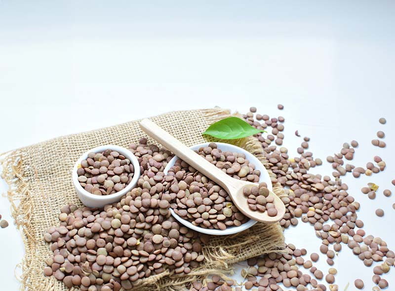 Are Lentils Good for Weight Loss