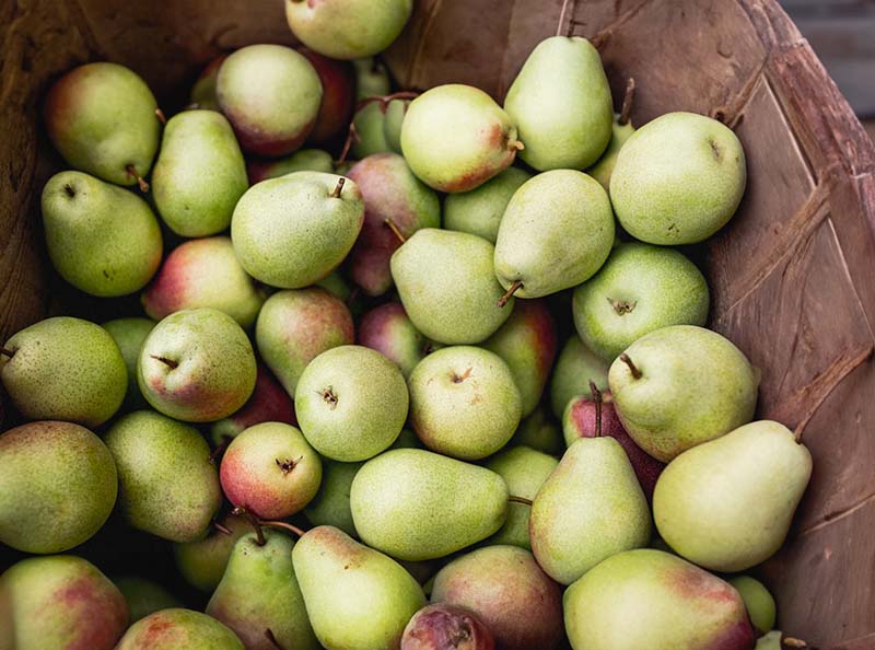 Are Pears Good for Weight Loss