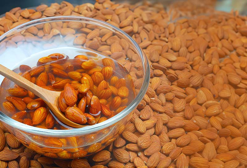 Do Almonds Help You Lose Weight?