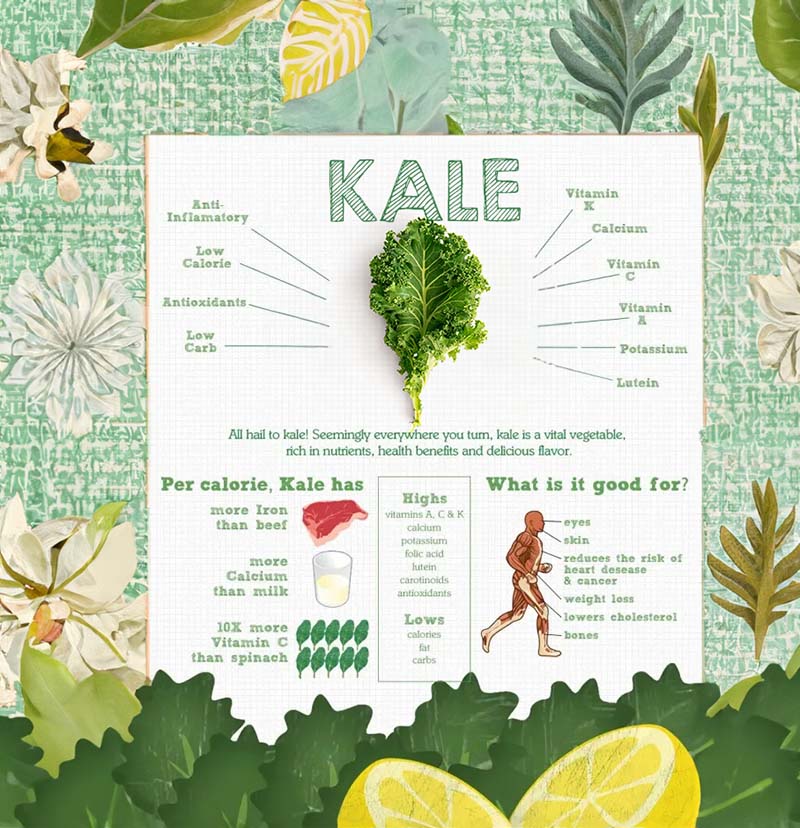 Does Kale Help You Lose Weight 