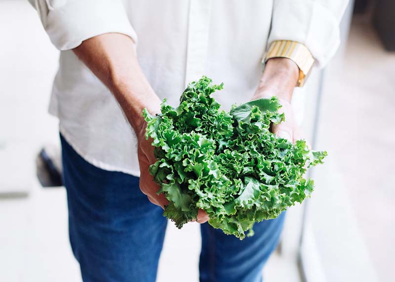 Does Kale Help You Lose Weight 