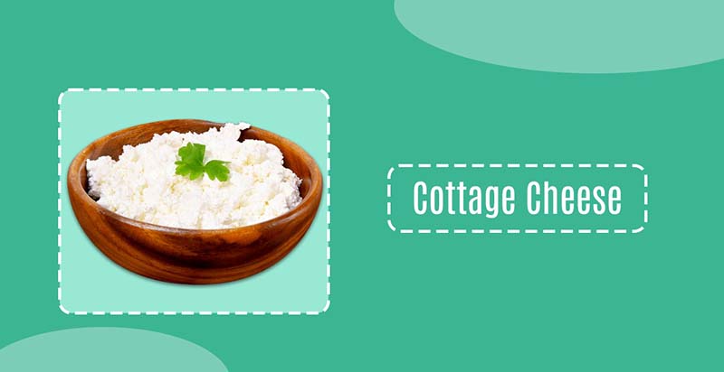 Is Cottage Cheese Good for Losing Weight