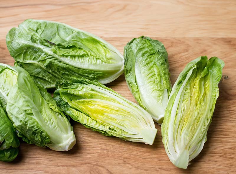 Is Lettuce Good for Weight Loss