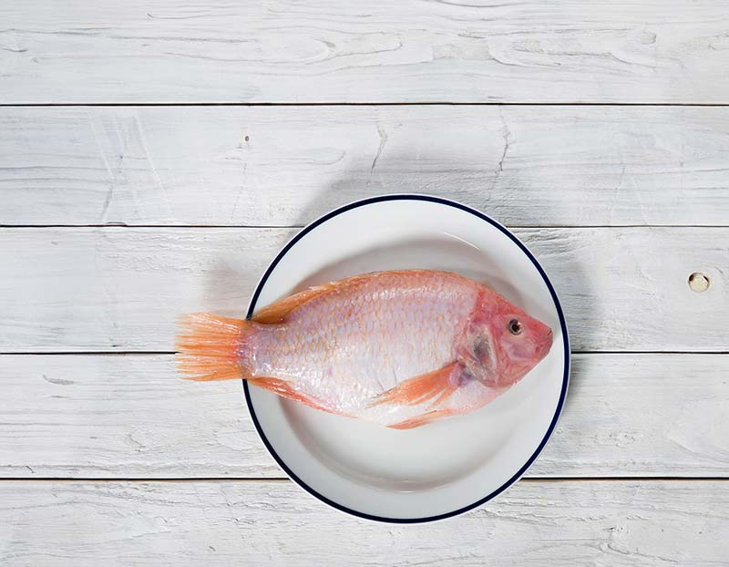 Is White Fish Good for Weight Loss