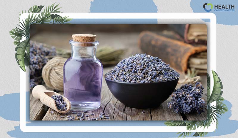 Benefits of Lavender Oil for Hair